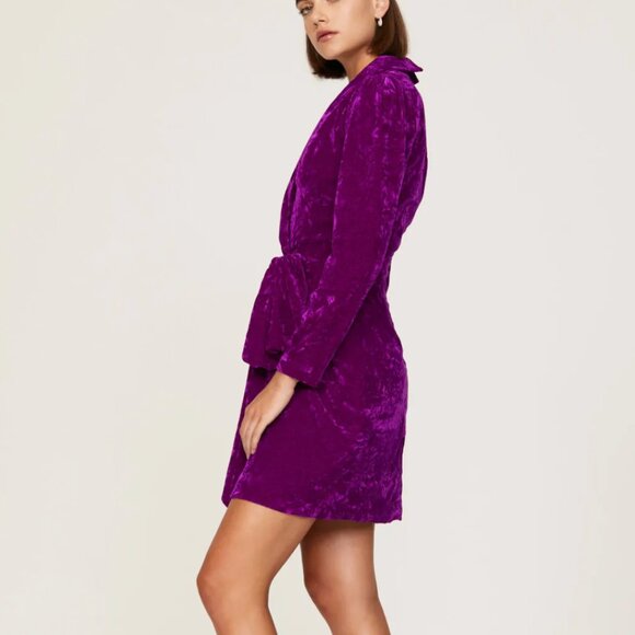 Size 6 - SHOSHANNA - Caroline Velvet Purple Dress Rent the Runway RTR $440 msrp - Picture 3 of 13